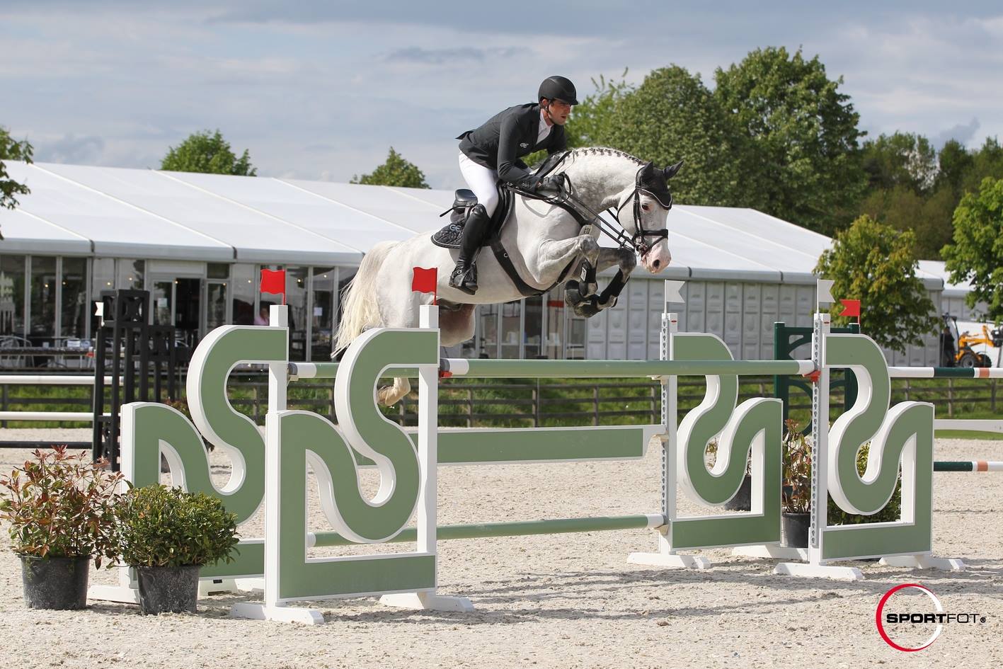 Christian 25 - International Showjumping Stallion
